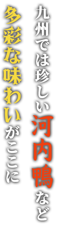 九州では珍しい河内鶏など多彩な味わいがここに