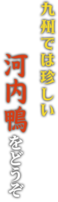 九州では珍しい河内鴨をどうぞ